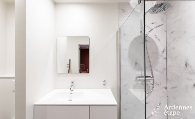 Vakantiehuis in Bouillon voor 15 personen in de Ardennen