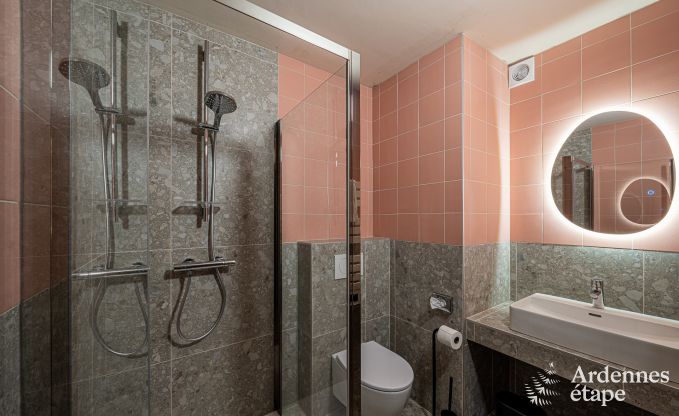 Vakantiehuis in Bouillon voor 36/40 personen in de Ardennen