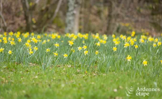 Chalet in Bullange voor 6 personen in de Ardennen
