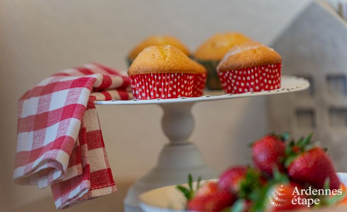 Charmante vakantiewoning in Bullange: voor 4 personen met hottub en sauna