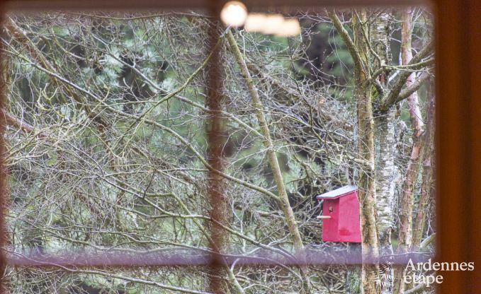 Chalet in Bullingen voor 6 personen in de Ardennen
