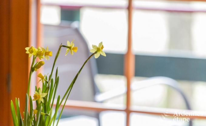 Chalet in Bullingen voor 6 personen in de Ardennen