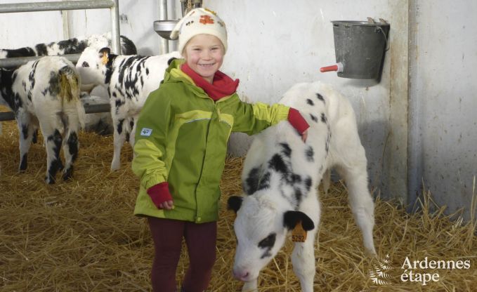 Vakantiehuis in Burg-Reuland voor 8 personen in de Ardennen