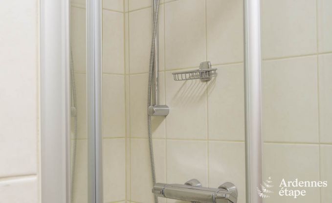 Vakantiehuis in Burg-Reuland voor 8 personen in de Ardennen