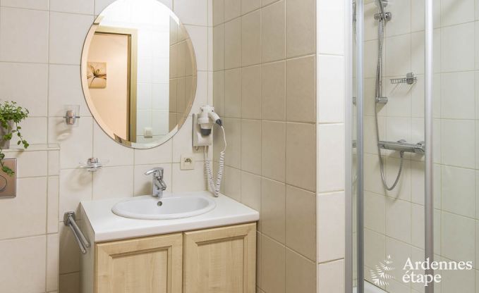 Vakantiehuis in Burg-Reuland voor 8 personen in de Ardennen