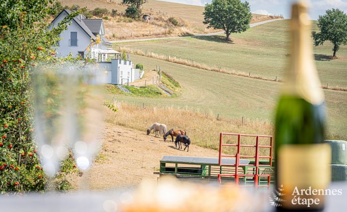 Comfortabel vakantiehuis voor 6 personen in Burg-Reuland