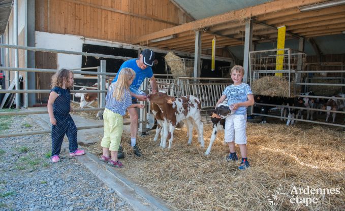Vakantiehuis in Burg-Reuland voor 8 personen in de Ardennen