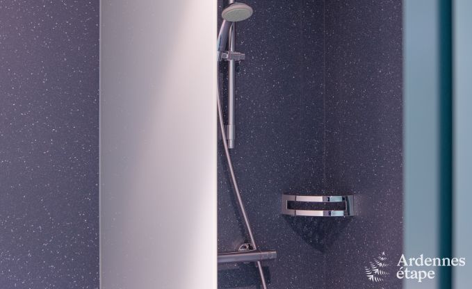 Luxe villa in Butgenbach (Heppenbach) voor 24 personen in de Ardennen