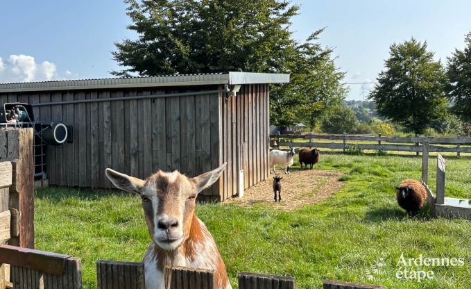 Ruim vakantieappartement voor 12 personen met 5 slaapkamers en gedeelde priv�tuin en wellness in Butgenbach