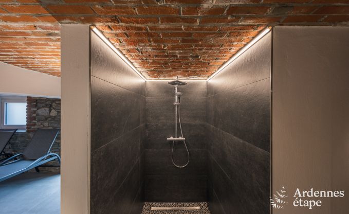 Uitzonderlijk verblijf in luxueuze villa in Butgenbach: 18 personen, binnenzwembad, sauna, in het hart van de Ardennen