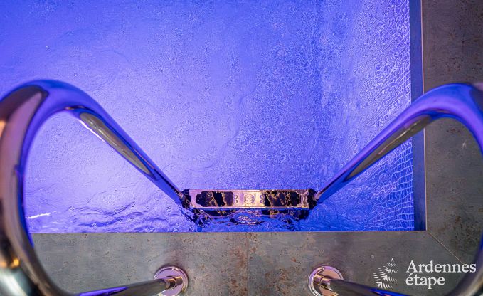 Ruime en luxueuze villa voor 14 personen met binnenzwembad in de Hoge Venen