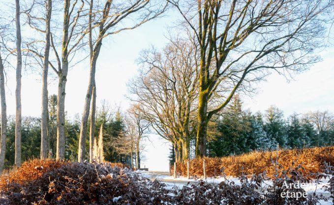Luxe villa in Butgenbach voor 28 personen in de Ardennen