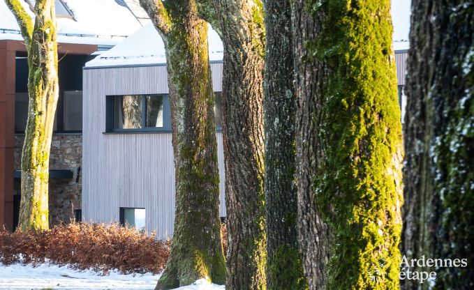 Luxe villa in Butgenbach voor 28 personen in de Ardennen