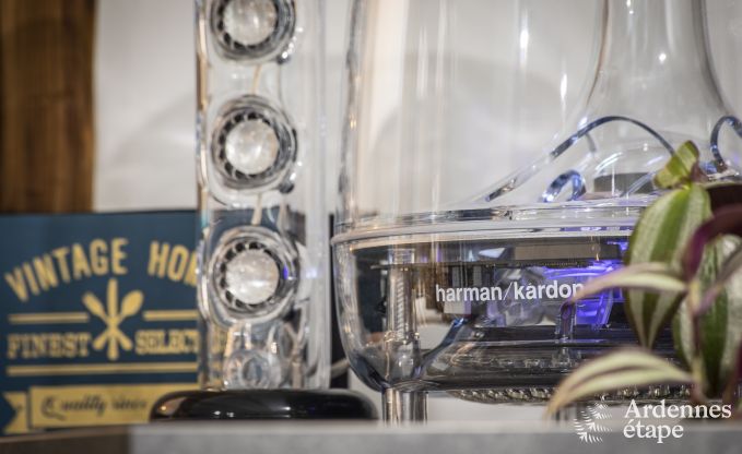 Vakantiehuis in B�tgenbach voor 6/8 personen in de Ardennen