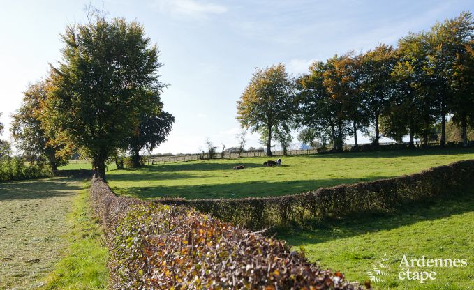 Vakantiehuis in Butgenbach voor 10 personen in de Ardennen