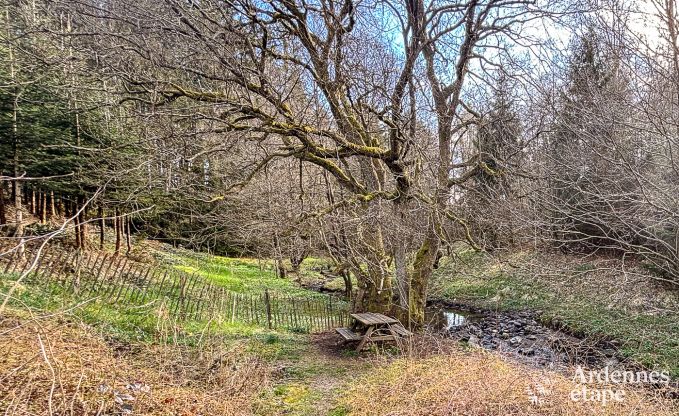 Vakantiehuis in Butgenbach voor 12 personen in de Ardennen