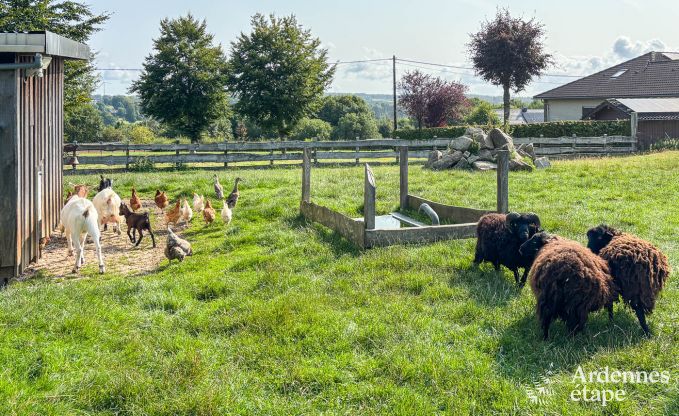 Modern appartement voor 6 personen in Butgenbach met 3 slaapkamers en gemeenschappelijke tuin