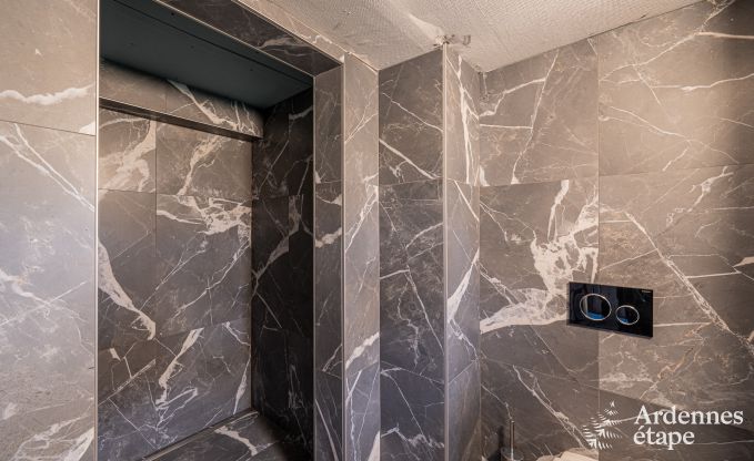 Luxueuze villa in Cerfontaine: perfect voor 14 personen, met binnen- en buitenzwembad, dicht bij de Lacs de l'Eau d'Heure