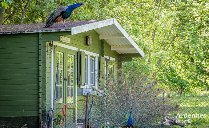Vakantiehuis in Cerfontaine voor 12/14 personen in de Ardennen