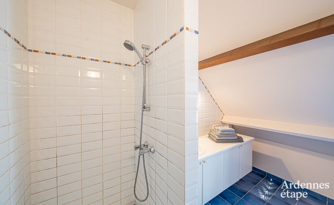 Vakantiehuis in Cerfontaine voor 12/14 personen in de Ardennen