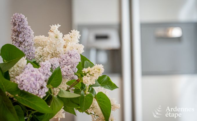 Vakantiehuis in Cerfontaine voor 12/14 personen in de Ardennen