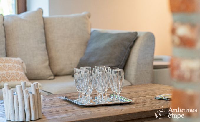 Vakantiehuis in Cerfontaine voor 12/14 personen in de Ardennen