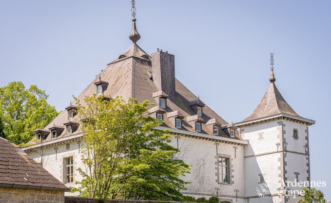 Vakantiehuis in Cerfontaine voor 12/14 personen in de Ardennen