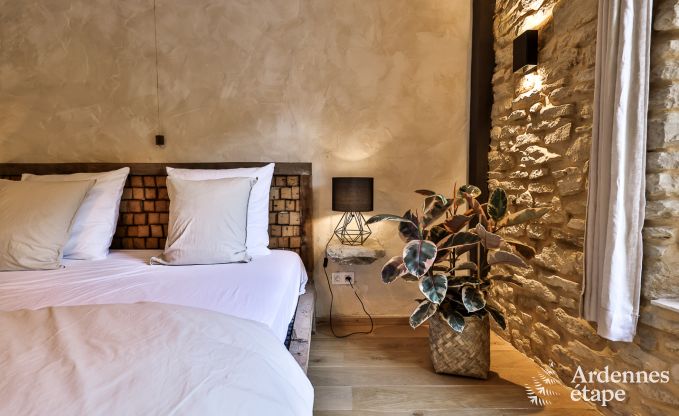 Vakantiehuis in Chassepierre voor 4/6 personen in de Ardennen