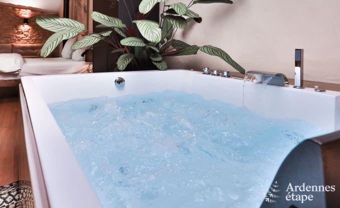 Vakantiehuis in Chassepierre voor 4/6 personen in de Ardennen