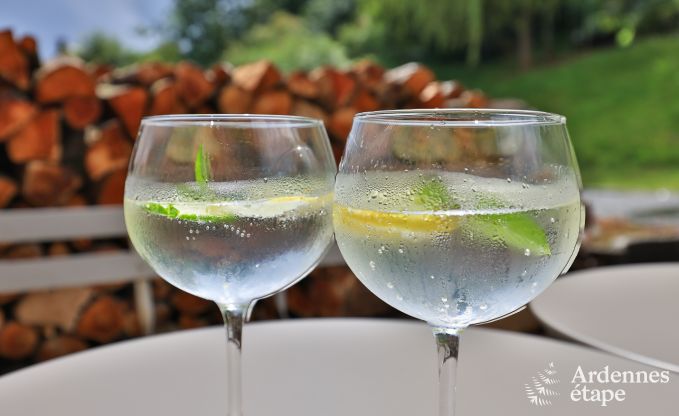 Vakantiehuis in Chassepierre voor 4/6 personen in de Ardennen