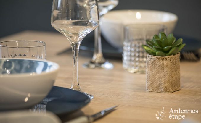 Vakantiehuis in Chassepierre voor 8/9 personen in de Ardennen