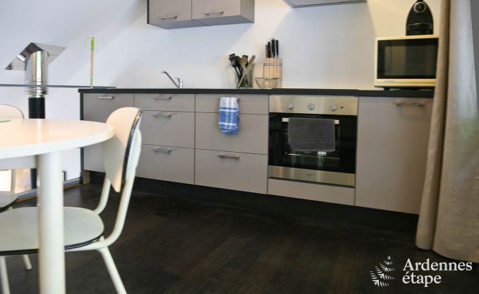 Ideaal vakantiehuis voor koppels in Chassepierre, Ardennen