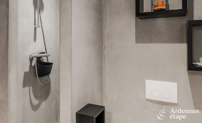 Vakantiehuis in Chassepierre voor 50 personen in de Ardennen