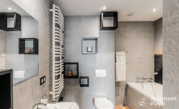 Vakantiehuis in Chassepierre voor 50 personen in de Ardennen