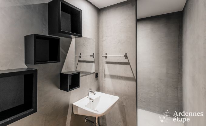 Vakantiehuis in Chassepierre voor 50 personen in de Ardennen