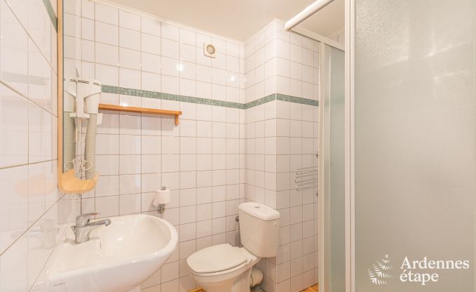 Cottage in Chassepierre voor 12 personen in de Ardennen