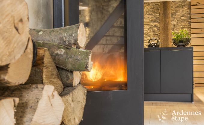 Vakantiehuis in Chassepierre voor 4/6 personen in de Ardennen