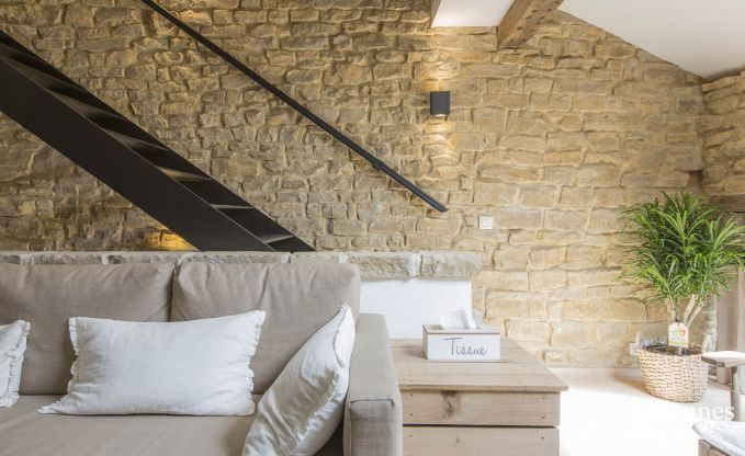 Vakantiehuis in Chassepierre voor 4/6 personen in de Ardennen