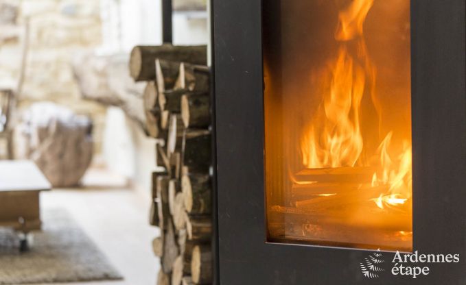 Vakantiehuis in Chassepierre voor 4/6 personen in de Ardennen