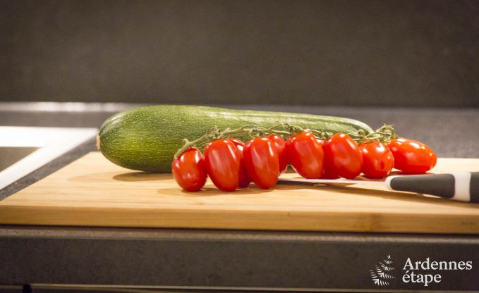 Vakantiehuis in Chassepierre voor 4/6 personen in de Ardennen