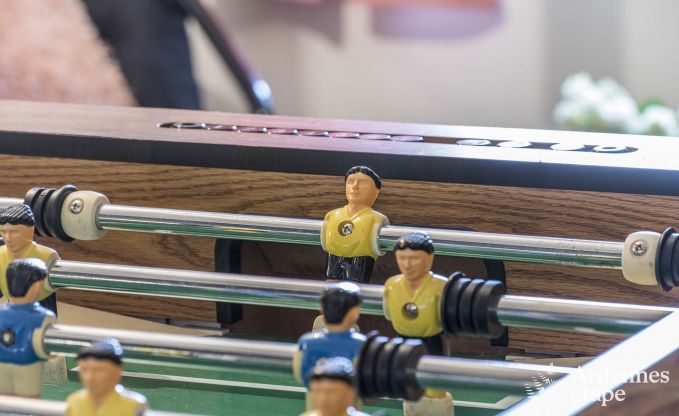 Vakantiehuis in Chassepierre voor 8/9 personen in de Ardennen