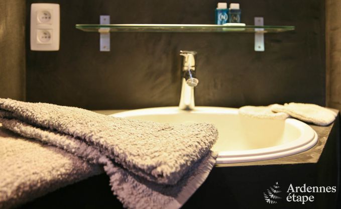 Ideaal vakantiehuis voor koppels in Chassepierre, Ardennen