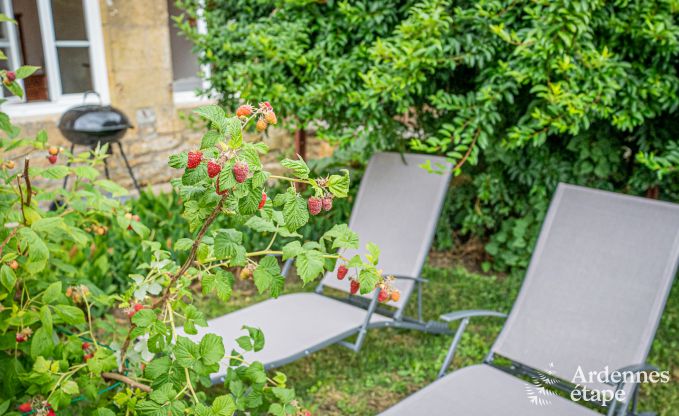Vakantiehuis in Chauvency-Saint-Hubert voor 6 personen in de Ardennen