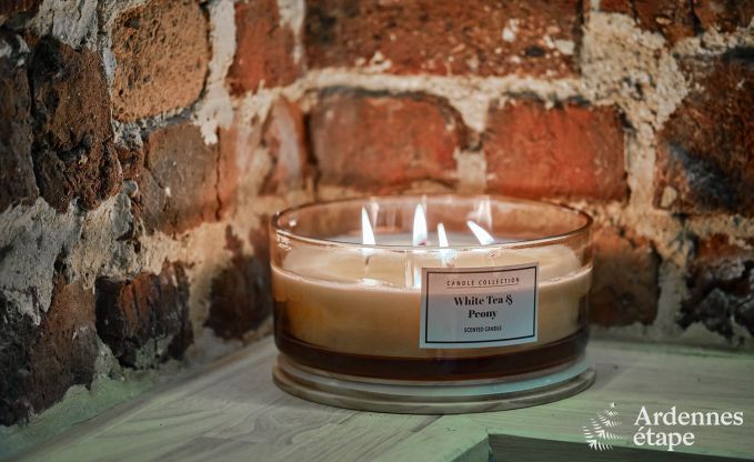 Charmant vakantiehuis voor 5 personen in Chimay: ligt aan een rivier, met terras en uitzicht, pelletkachel