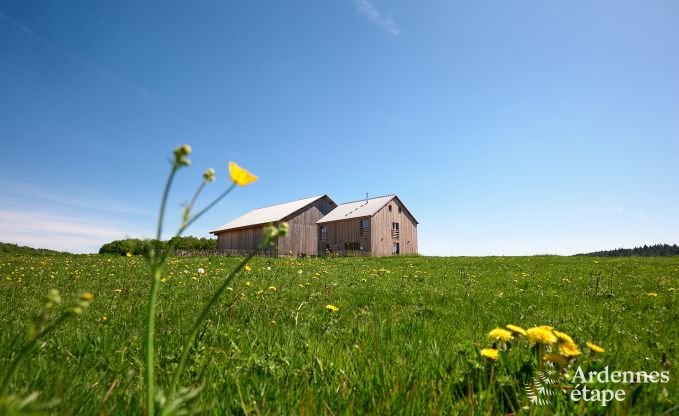 Comfortabele ecochalet voor 10 personen in Ciney met sauna en priv�tuin