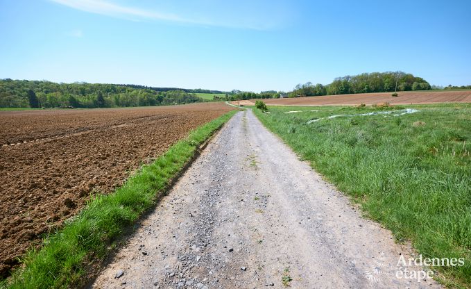 Comfortabele ecochalet voor 10 personen in Ciney met sauna en priv�tuin