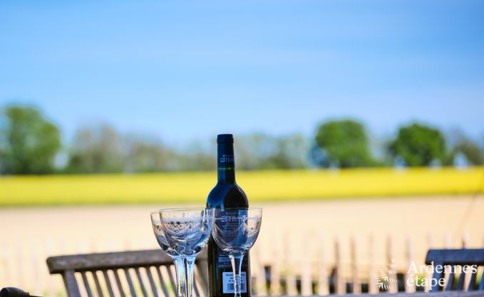 Comfortabele ecochalet voor 10 personen in Ciney met sauna en priv�tuin