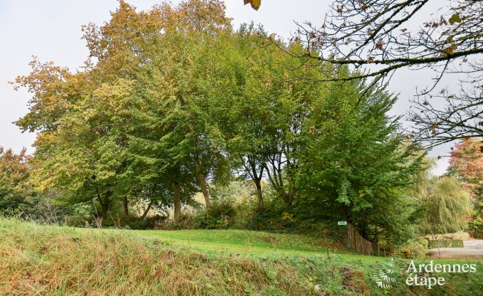 Vakantiehuis in Ciney voor 6 personen in de Ardennen