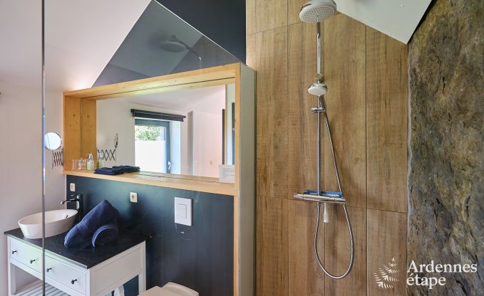 Luxueuze vakantiewoning voor 4 personen met zwembad, sauna en jacuzzi in Ciney