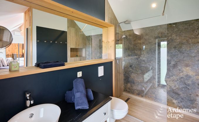 Luxueuze vakantiewoning voor 4 personen met zwembad, sauna en jacuzzi in Ciney